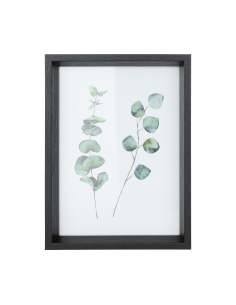RENABIE Black Frame 2
