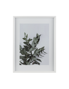 RENABIE White Frame 2