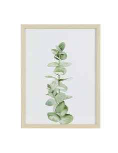 ROBERVAL Coffee green image 2
