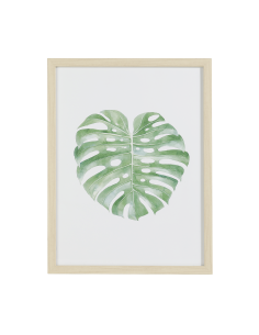 ROBERVAL Coffee green image 2