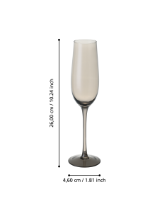 ORMARA Champagne Glass Grey Transp 2