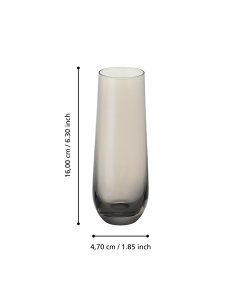 ORMARA Champagne Glass Grey Transp 2