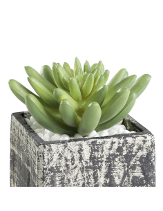 CHITOSE Artificial Plant Gray 2