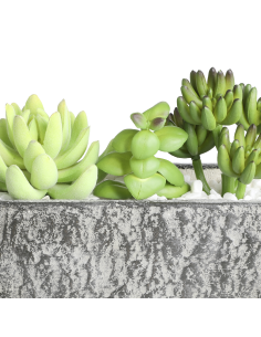 CHITOSE Planta artificial 2