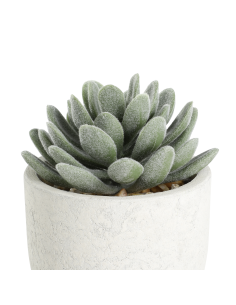 CHITOSE Planta artificial café verde 2