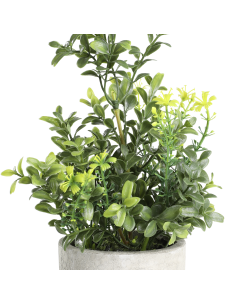 CHITOSE Artificial green coffee plant 2