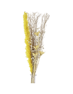 CARAQUET Flor seca Amarillo 2