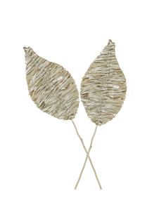 IGNACE Dried flower 2