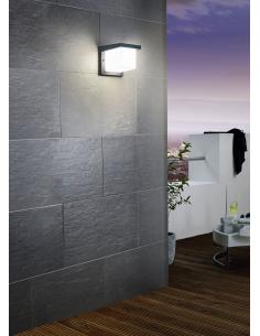 EGLO 95097 - DESELLA 1 Outdoor LED wall light in Anthracite Cast Aluminum and Acrylic 2