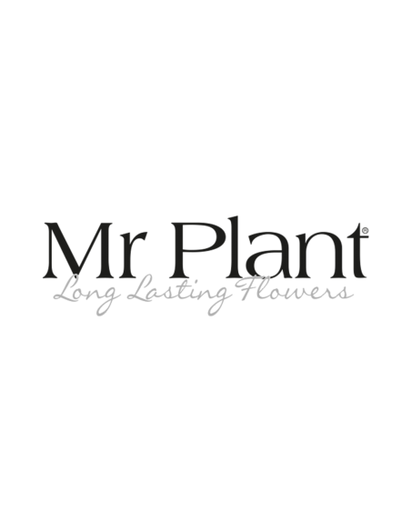 MR PLANT