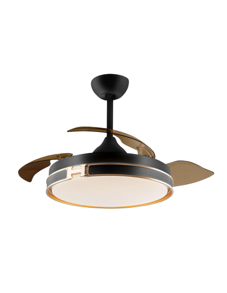 Retractable Blade Ceiling Fans