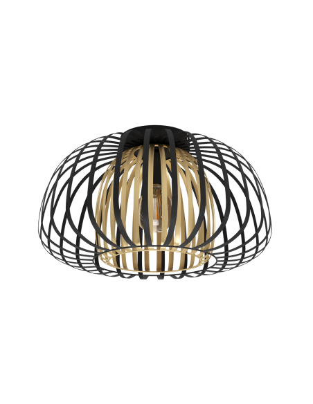 Modern Ceiling Lamps