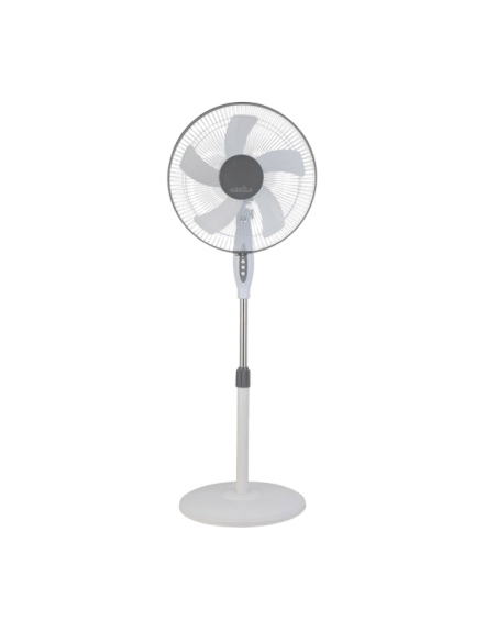 Standing fan